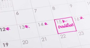 Any Methods of contraception suits ME calendar of ovulation by Gardenia Pharmacy