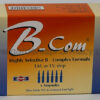 B-COM 6 AMP