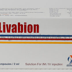 LIVABION 6 AMP