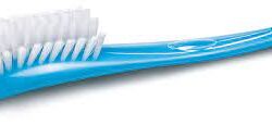 AVENT 14506 Bottle and Teat Brush - Blue