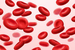 Alternative view of HYDROFERRIN DROPS